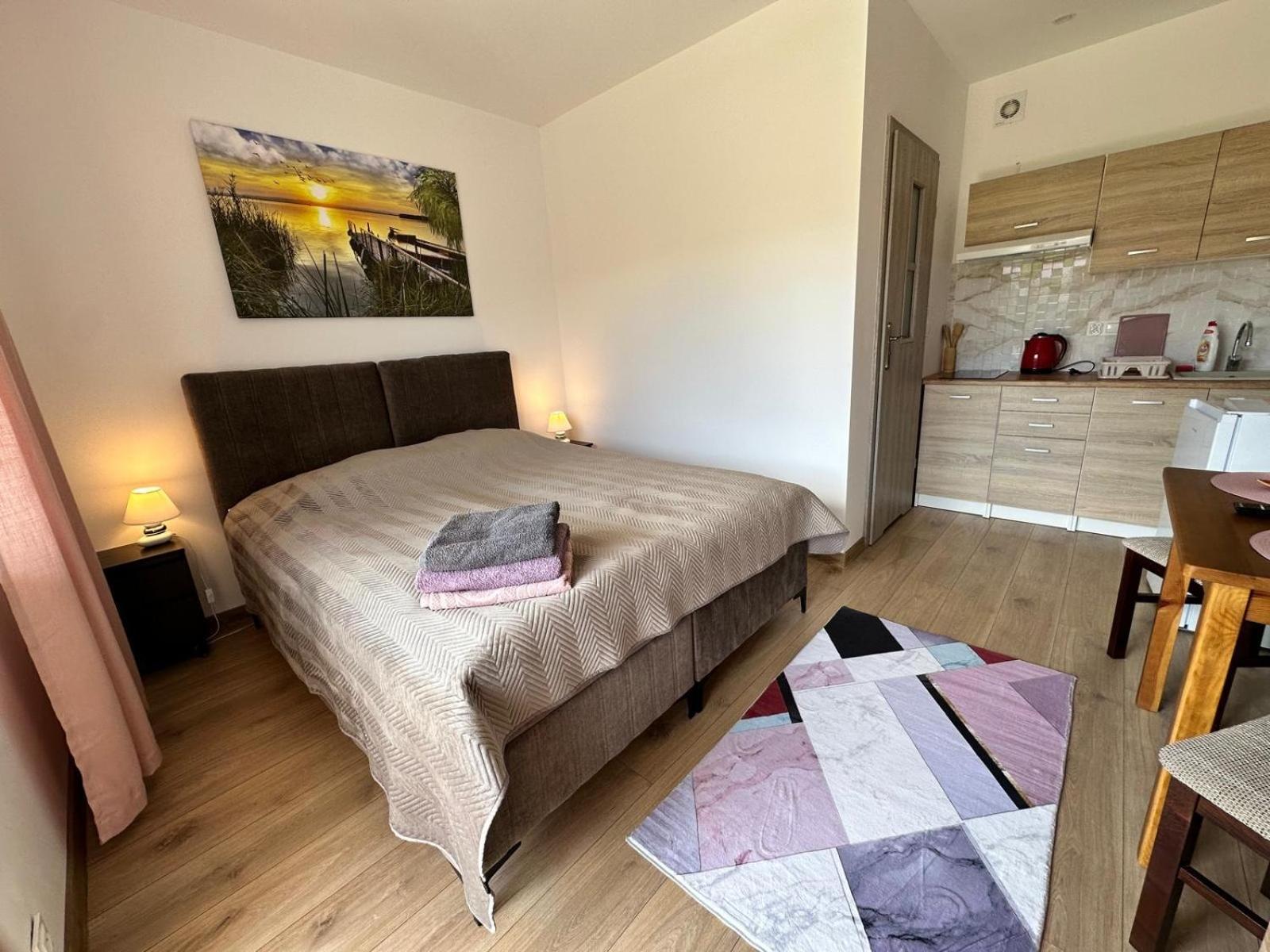 Osrodek Polny Kamyk Apartment *
